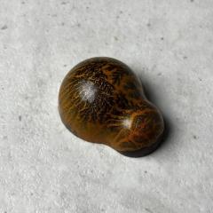 Hazelnootpraliné