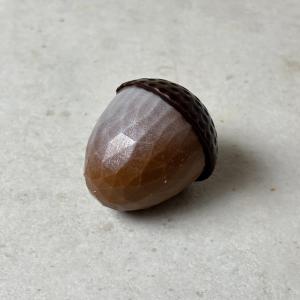 Kaneel caramel (Herfst)