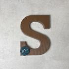 Kleine letter S